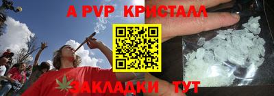 гидра Нальчик