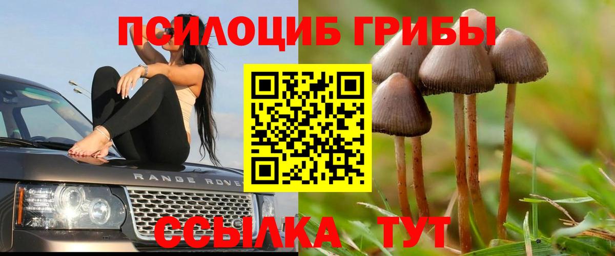 Галлюциногенные грибы мухоморы  Вход с VPN  Шали 