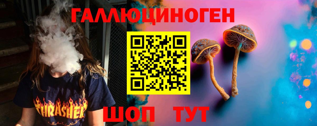 Галлюциногенные грибы мухоморы Шали